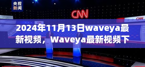 2024年11月13日Waveya最新視頻觀察，獨(dú)特視角下的思考