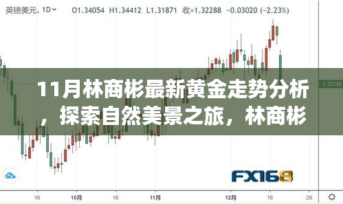 林商彬黃金走勢分析與自然美景探索，黃金與心靈的對話