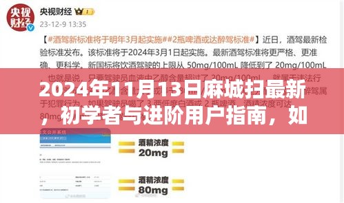 麻城掃最新技能指南，初學者與進階用戶如何掌握