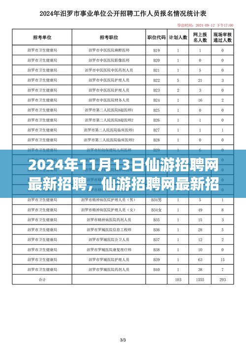 2024年11月13日仙游招聘網最新動態(tài)，聚焦人才市場熱點