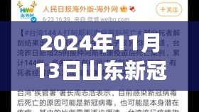 山東新冠疫情最新報告，多維視角下的深度分析（2024年11月13日）