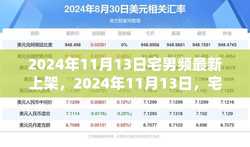 2024年11月13日宅男頻全新上架，引領(lǐng)娛樂潮流之巔