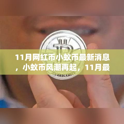 11月小蟻幣風(fēng)潮再燃，最新動態(tài)與深度解讀