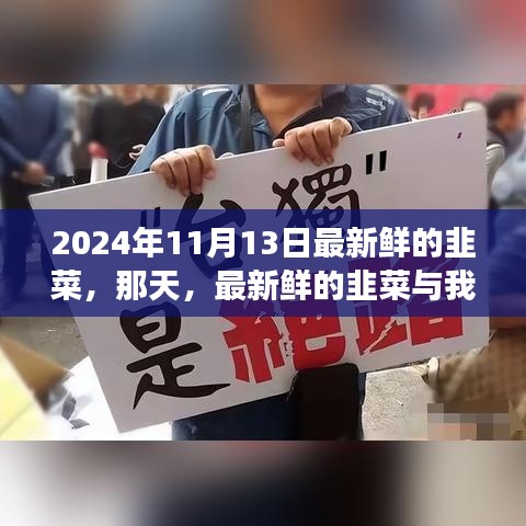 新鮮韭菜與溫馨故事，2024年11月13日的邂逅