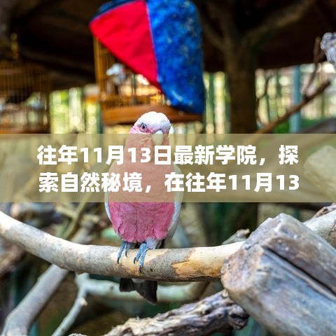 往年11月13日學院探索自然秘境之旅，追尋內(nèi)心的寧靜與笑聲