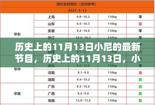 小尼最新節(jié)目深度解析，歷史上的十一月十三日