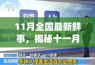 揭秘十一月全國新鮮事，熱點聚焦與科普解讀