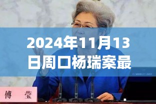 楊瑞案背后的故事，變化的力量與自信的重生最新進(jìn)展，周口楊瑞案深度剖析（2024年11月13日）