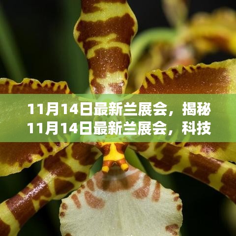 揭秘最新蘭展會，科技革新引領(lǐng)未來生活風(fēng)采展盛大開幕