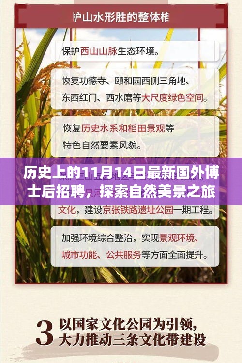 歷史上的11月14日，博士后招聘與探索自然美景之旅啟程啟幕，夢想與心靈平靜之旅開啟！