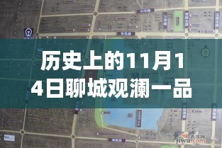 聊城觀瀾一品揭秘之旅，11月14日最新動態(tài)探秘隱藏小巷