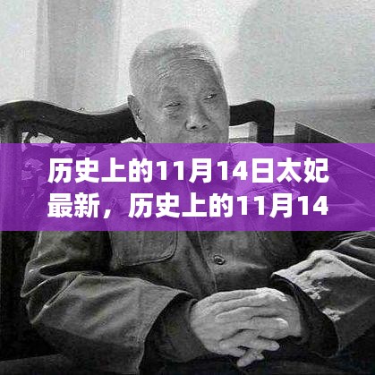 歷史上的11月14日太妃傳奇，最新解讀與影響全解析