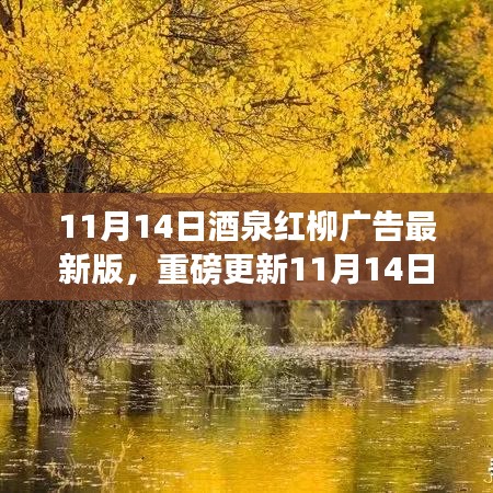 11月14日酒泉紅柳廣告最新版，重磅更新，精彩紛呈