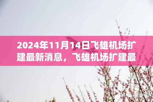 2024年11月14日飛雄機(jī)場擴(kuò)建最新進(jìn)展與動(dòng)態(tài)