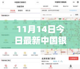 揭秘，中國銀行最新外匯牌價動態(tài)及影響力解析（11月14日更新）