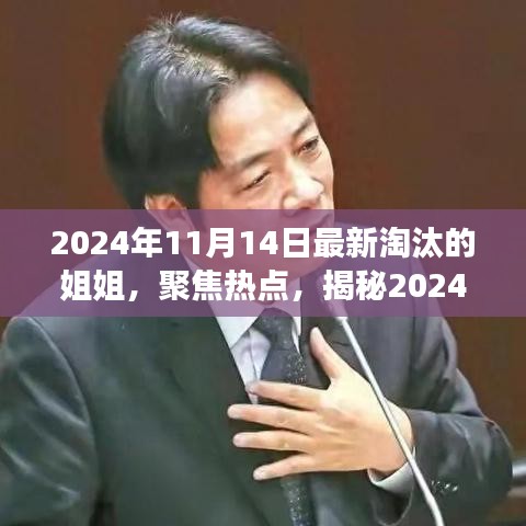 揭秘，2024年11月14日最新淘汰的姐姐背后的故事與熱點聚焦