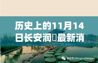 長安潤璟秘境探索，歷史與美食的碰撞時刻，最新消息揭秘秘密小店