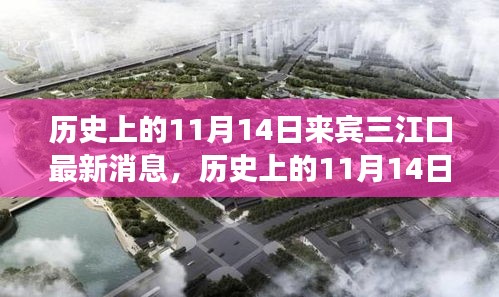 歷史上的11月14日，來賓三江口最新發(fā)展動態(tài)揭秘