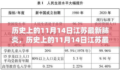 歷史上的11月14日江蘇最新肺炎事件深度解析，影響與啟示