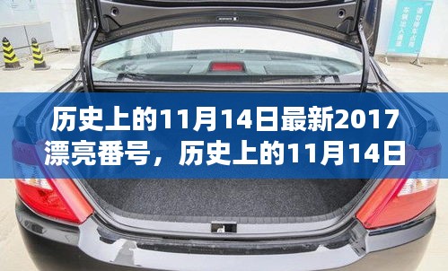 歷史上的11月14日最新2017漂亮番號，歷史上的11月14日，探尋那些閃耀的瞬間與美好記憶??