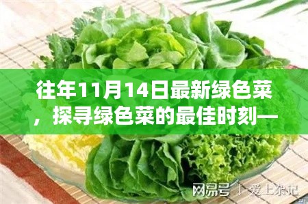 探尋綠色菜的最佳時刻，以往年11月14日為例的蔬菜盛宴