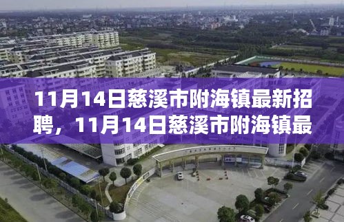 11月14日慈溪市附海鎮(zhèn)最新招聘動態(tài)及職業(yè)機(jī)會解析