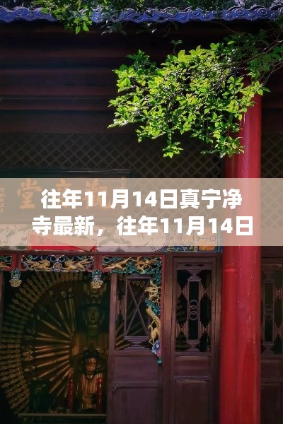 往年11月14日真寧凈寺探訪攻略，領(lǐng)略古寺魅力，最新指南全解析