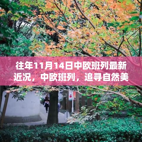 中歐班列秋日序曲，追尋自然美景與內(nèi)心寧?kù)o之旅的最新近況