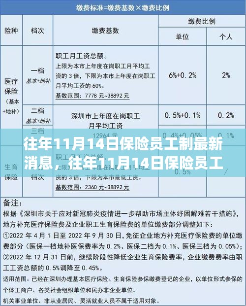 三大要點(diǎn)深度解讀，往年11月14日保險(xiǎn)員工制最新消息與更新解讀