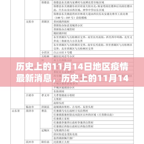 歷史上的11月14日全球疫情進展與地區(qū)動態(tài)分析，最新消息及進展概述