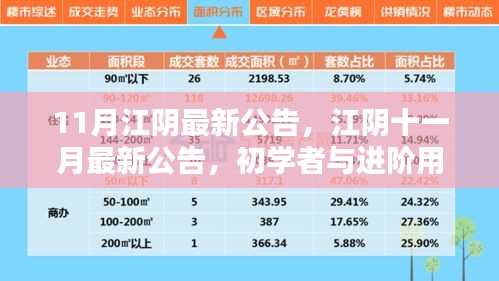 江陰十一月最新公告發(fā)布，初學(xué)者與進階用戶指南詳解