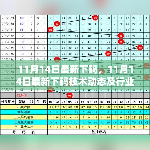 11月14日最新下碼技術動態(tài)及行業(yè)應用分析，犯罪行為的探討