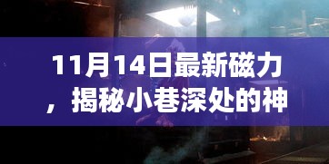 揭秘神秘寶藏，11月14日最新磁力小巷小店探秘之旅