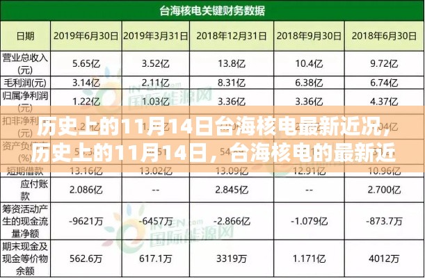 歷史上的11月14日，臺海核電的最新近況及其影響分析概覽