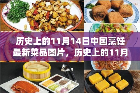 11月14日中國烹飪新菜品圖片展示，歷史菜品深度評測與介紹