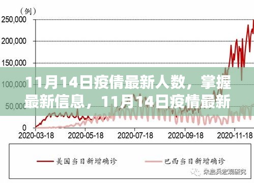 11月14日疫情最新人數(shù)查詢指南，掌握最新信息