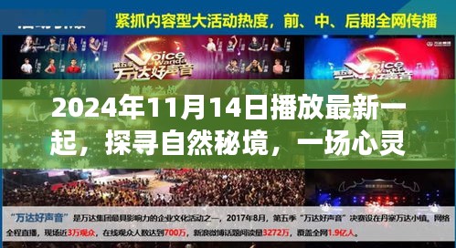 探尋自然秘境，心靈之旅啟程于2024年11月14日