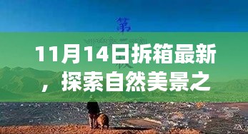 11月14日最新拆箱體驗(yàn)，自然美景之旅，尋找內(nèi)心的寧?kù)o與喜悅