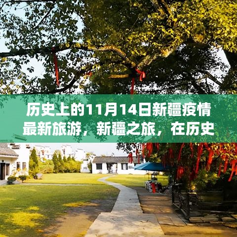 歷史的11月14日，新疆疫情最新旅游動(dòng)態(tài)與心靈之旅的寧靜與奇跡探尋