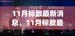 11月標(biāo)致最新消息揭秘，重磅更新與未來(lái)展望