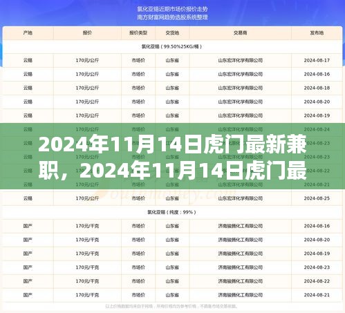 2024年11月14日虎門最新兼職，機遇與挑戰(zhàn)并存