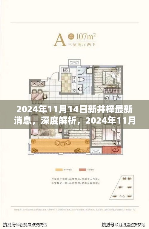 深度解析，2024年11月14日新井梓產(chǎn)品最新消息揭秘，特性、用戶體驗(yàn)與目標(biāo)用戶群體探討