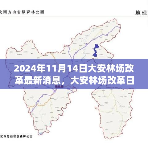 大安林場(chǎng)改革故事會(huì)，最新消息與溫馨改革之旅（2024年11月14日）