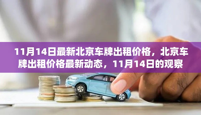 北京車(chē)牌出租價(jià)格最新動(dòng)態(tài)，11月14日的觀察與解讀