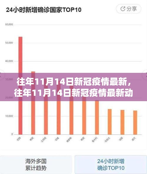 往年11月14日新冠疫情最新動態(tài)概覽及要點解析