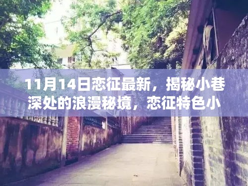 揭秘小巷深處的浪漫秘境，戀征特色小店的最新篇章（11月14日更新）