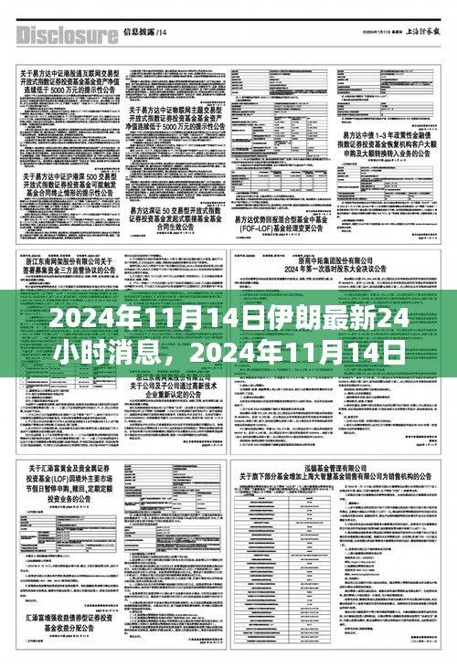 2024年11月14日伊朗最新消息綜述