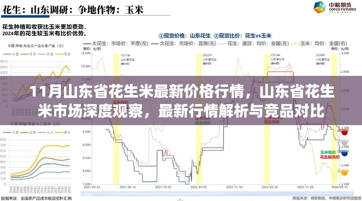 11月山東省花生米最新價(jià)格行情，山東省花生米市場(chǎng)深度觀察，最新行情解析與競(jìng)品對(duì)比