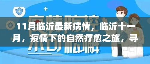 臨沂十一月疫情下的自然療愈之旅，尋找內(nèi)心的寧靜港灣