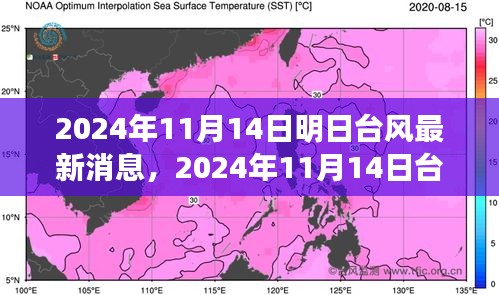 臺(tái)風(fēng)最新消息深度評(píng)測(cè)，特性、體驗(yàn)、競(jìng)品對(duì)比與用戶分析（2024年臺(tái)風(fēng)動(dòng)態(tài)）